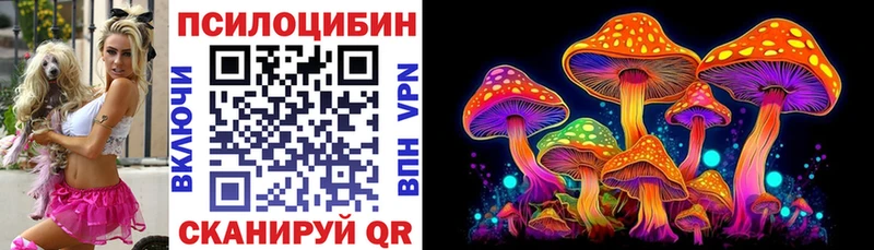 Псилоцибиновые грибы Psilocybine cubensis  Кубинка 
